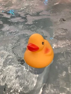 Happy Hot Tubs Large 200g Floating Duck Dispenser -SoakSense Shop large duck dispenser 4